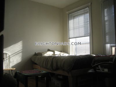 Brighton Apartment for rent Studio 1 Bath Boston - $2,234 No Fee